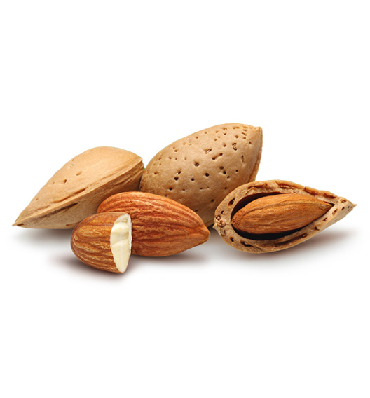 almond-1