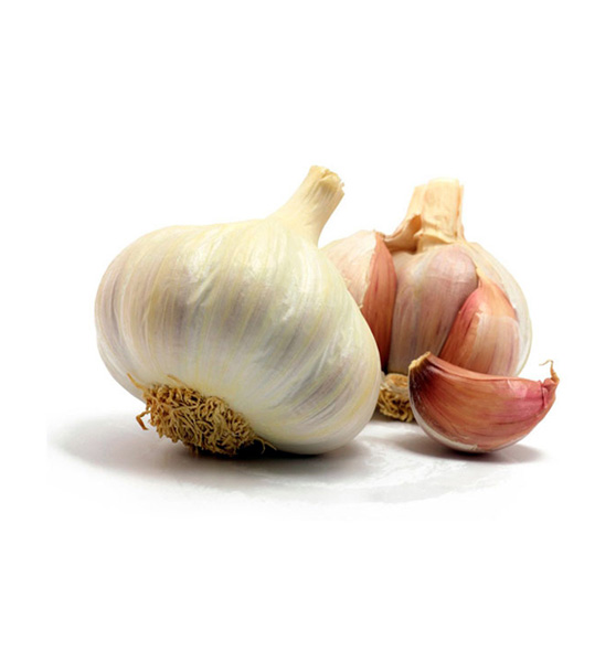garlic-1