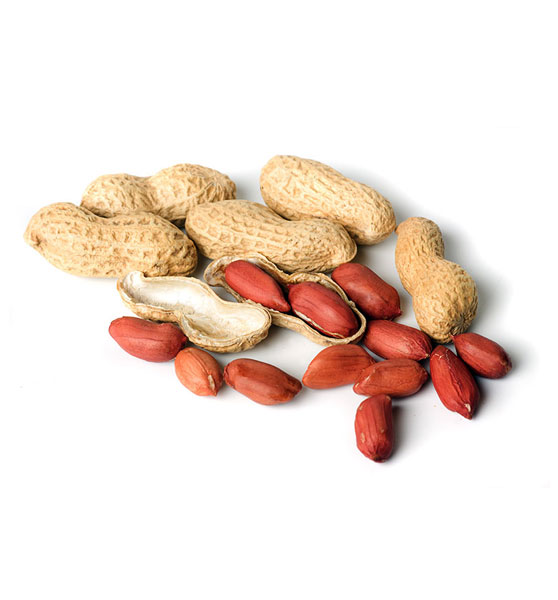 peanut